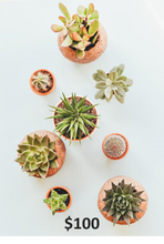 Load image into Gallery viewer, Gift card
